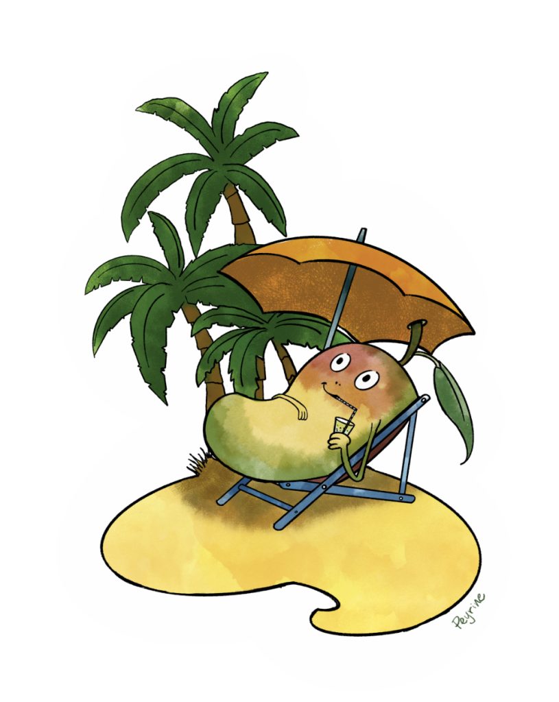 Mangue Mojito