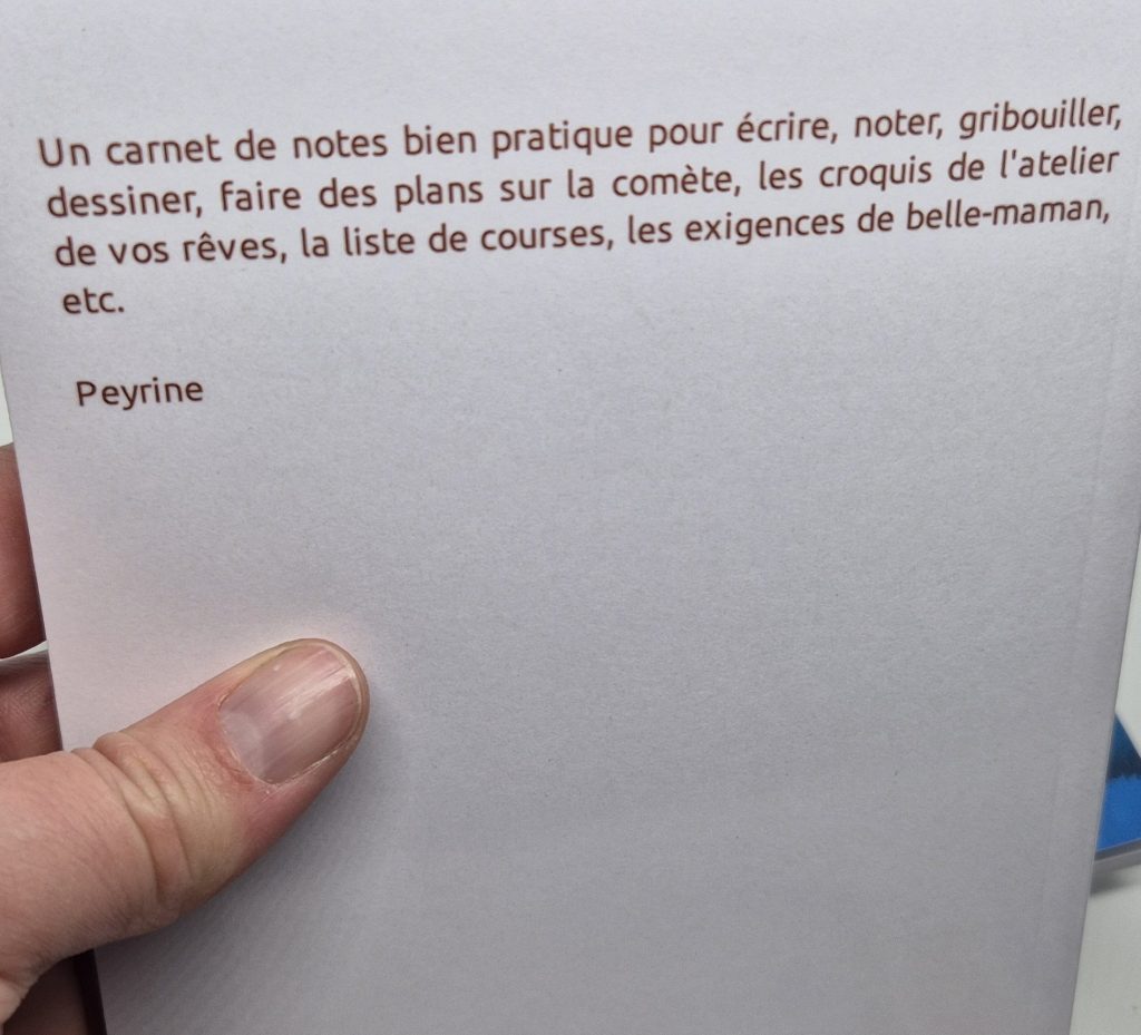 Carnet Mouette pas Nette