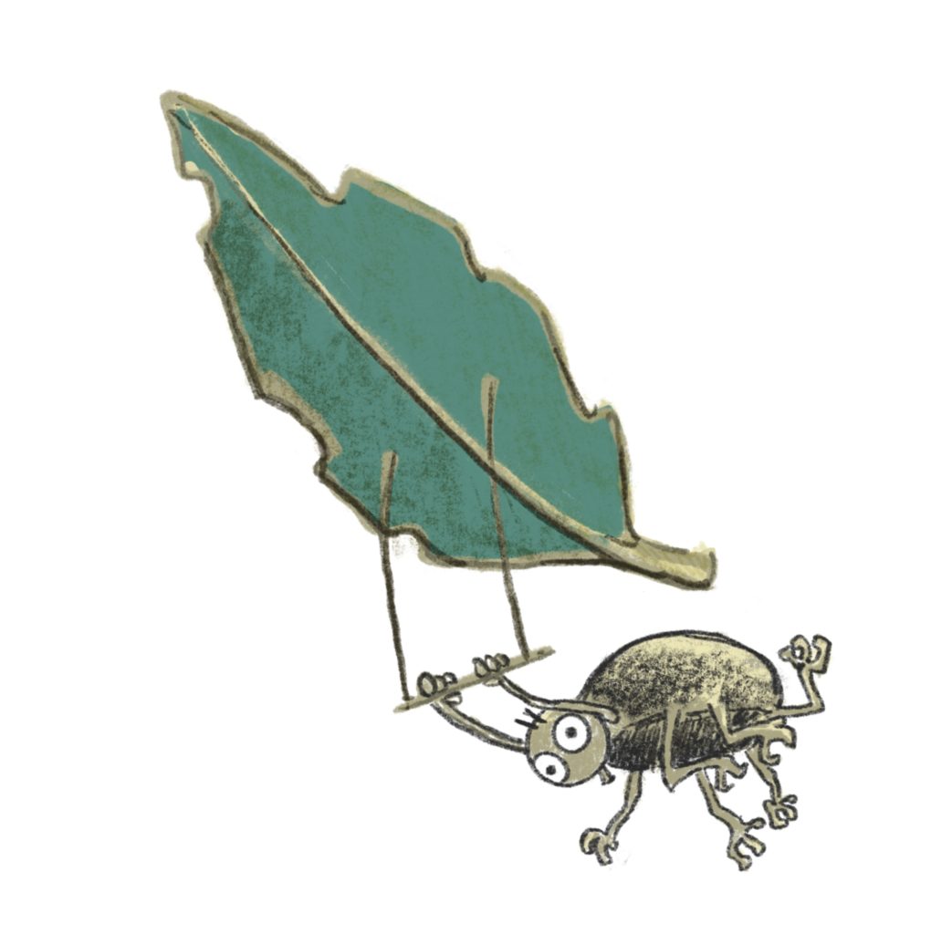 Flying Spider