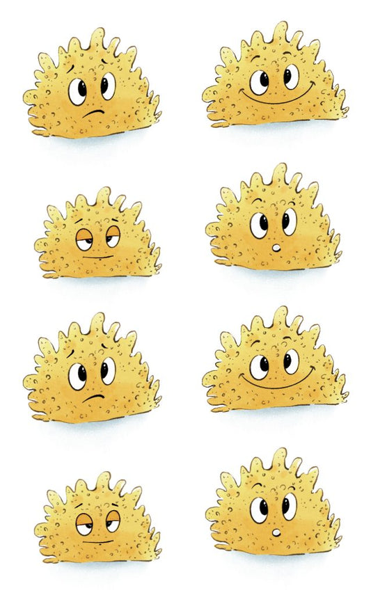 Spongy